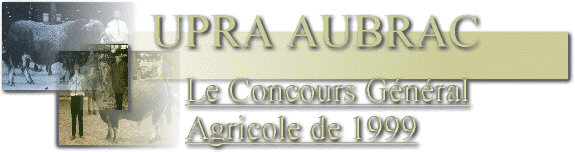 bancga.jpg (25637 octets)